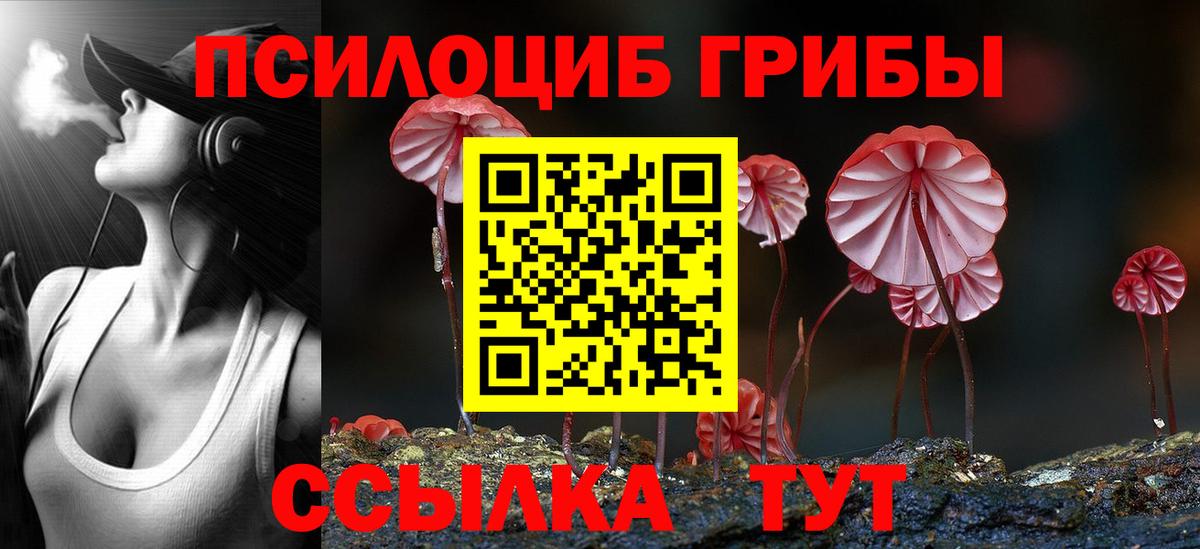 Галлюциногенные грибы Magic Shrooms  Вход с VPN  Жигулёвск  Псилоцибиновые грибы Psilocybine cubensis 