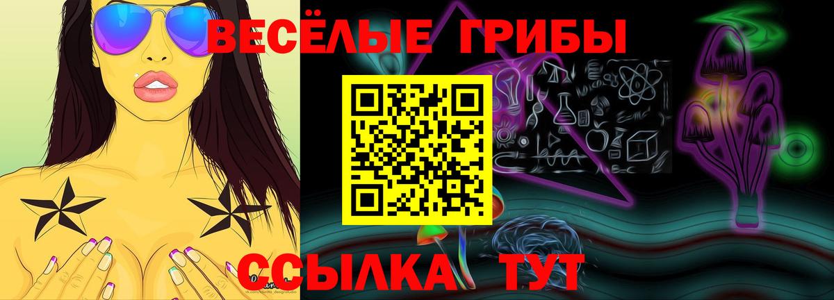 даркнет сайт  Жигулёвск  Галлюциногенные грибы ЛСД  Псилоцибиновые грибы GOLDEN TEACHER 